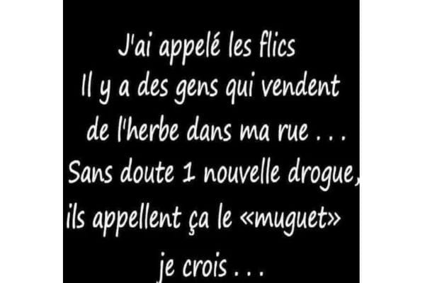 Un texte sur fond noir mentionne une "nouvelle drogue" appelée "muguet."