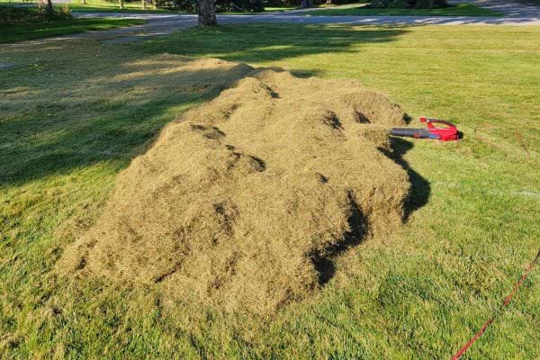 Un tas de tontes de pelouse sèches à côté d'une tondeuse sur un gazon.