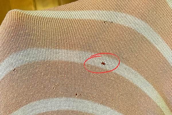 Un trou de mites dans un pull en laine qui fait 0,5 cm