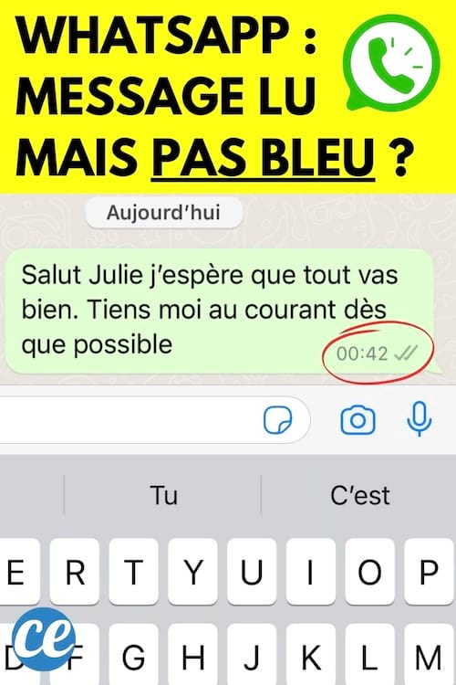Un message envoyé sur Whatsapp qui est lu mais sans coches bleues