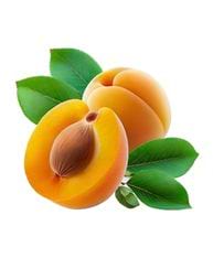 abricots jaunes feuilles