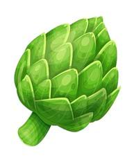 Artichaut vert foncé