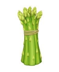 Asperges vertes liées