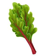 blette feuilles rouges