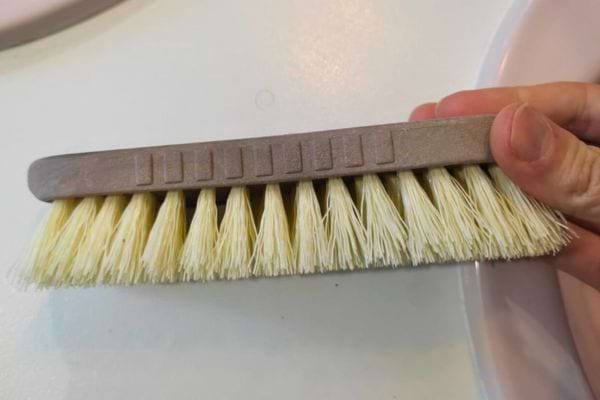 Brosse à poils durs tenue à la main sur un fond blanc.