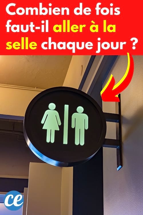 Des toilettes public pour savoir combien de fois aller à la selle par jour