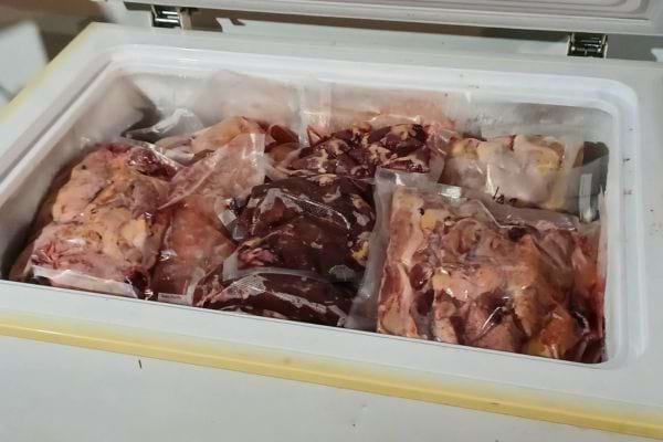 Congélateur rempli de viandes emballées