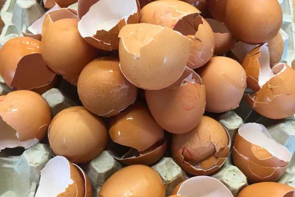 Un tas de coquilles d'œufs cassées accumulées sur une surface.