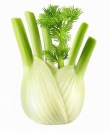 Deux bulbes de fenouil blancs avec des tiges vertes.