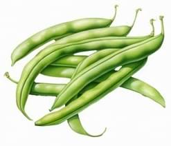Une pile de fèves vertes fraîches.