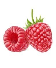 framboises rouges duo