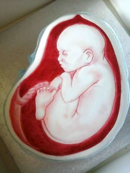 Gâteau représentant un fœtus dans l'utérus, très réaliste, teintes de rouge.