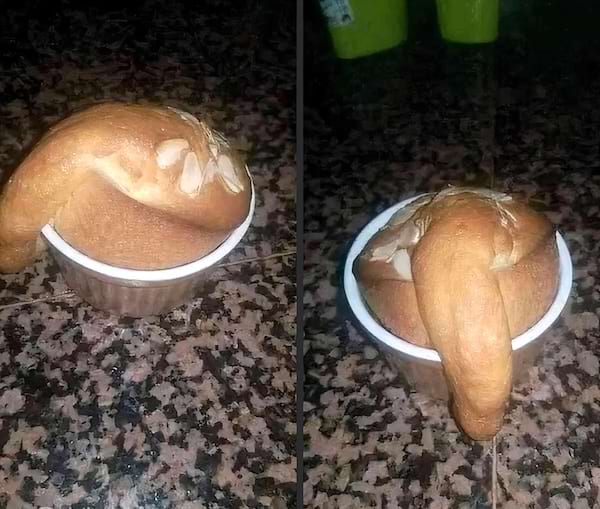 Pâte à pain malformée en forme phallique, sortie d'un petit récipient.