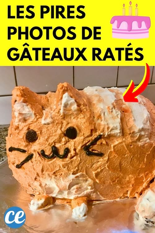 Un gâteau en forme de chat complètement raté