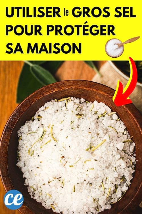 Du gros sel dans un bol pour la protection de la maison
