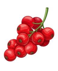 groseilles rouges grappe