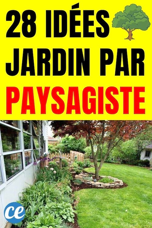 Jardin avec un arbre