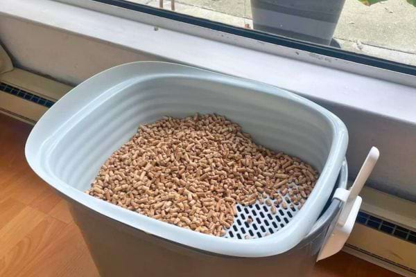 Bac à litière rempli de granulés absorbants près d'une fenêtre.