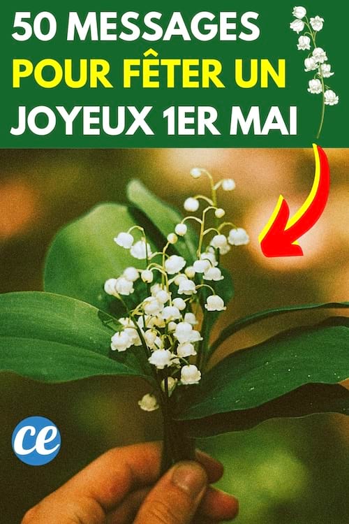 Un joli bouquet de muguet pour fêter un joyeux 1er mai avec des messages originaux
