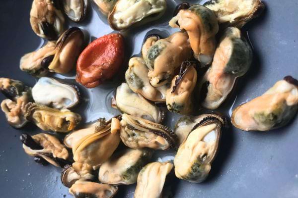 Moules congelées exposées sur une assiette, montrant la diversité de leur état après décongélation.
