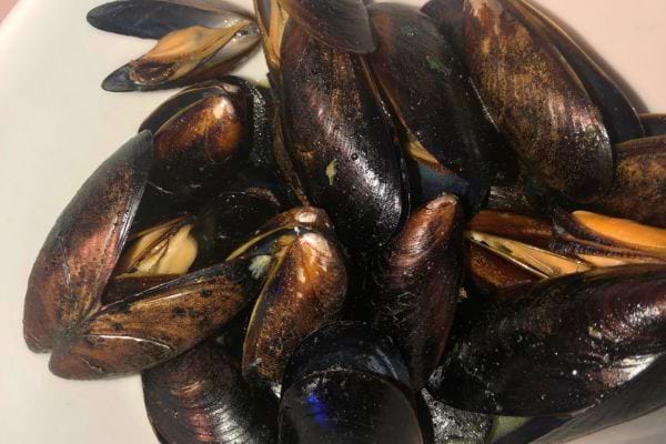 Moules cuites aux coquilles sombres et brillantes, prêtes à être servies.