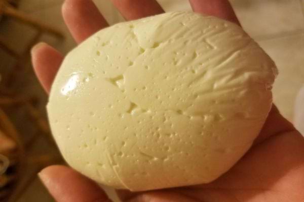 Une main tenant une boule entière de mozzarella fraîche.