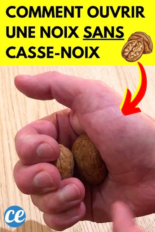Un main avec 2 noix pour les casser sans casse-noix