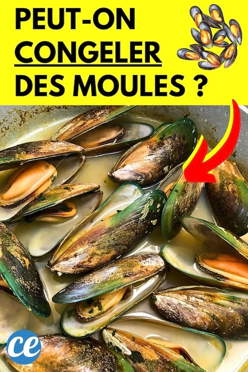 Peuton Congeler des Moules ? Ma Poissonnière Répond.