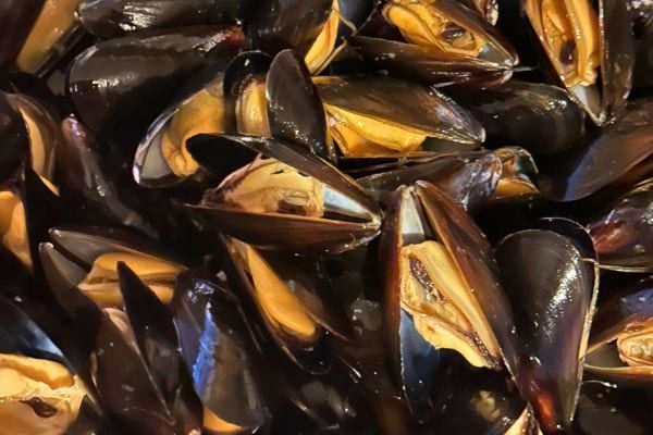 Un tas de moules cuites et ouvertes, luisantes et appétissantes.