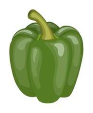 Poivron vert lustré