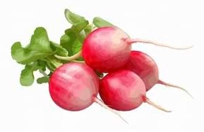 Des radis rouges avec des feuilles vertes.