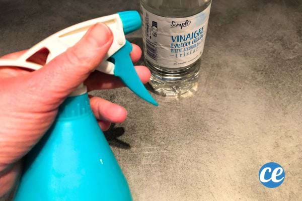 Main tenant un spray bleu avec vinaigre blanc à l'arrière-plan, pour recette de nettoyant puissant.