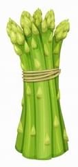 Un bouquet d'asperges vertes liées par un ruban.