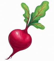 Une betterave rouge avec des feuilles vertes et des veines rouges.