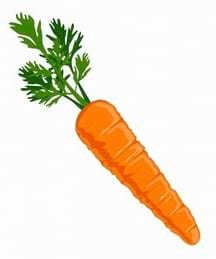 Une carotte orange vive avec des feuilles vertes.