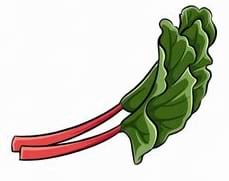 Une tige de rhubarbe avec des feuilles vertes et des tiges rouges.