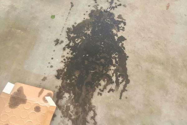 Grande tache sombre sur un sol en béton, à côté d'un carton.