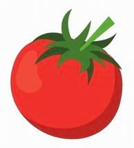 Une tomate rouge vif avec un feuillage vert éclatant.