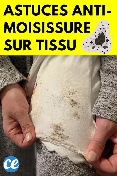 De la moisissure sur du tissu blanc