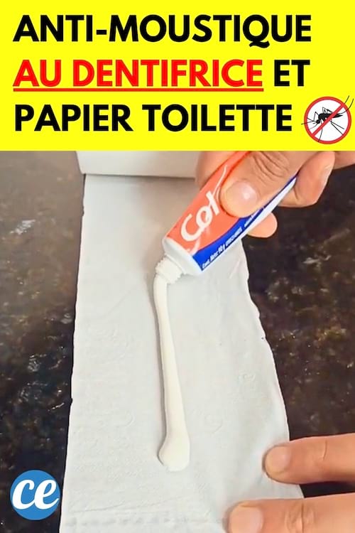 Du dentifrice sur du papier toilette à faire brûler contre les moustiques