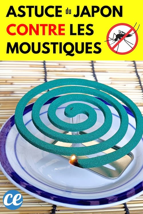 Une spirale naturelle du Japon contre les moustiques