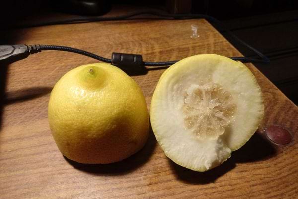 Quartiers de citron sur plan noir; citron coupé près d'un câble USB.