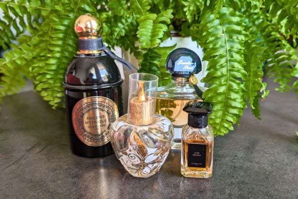 Plusieurs flacons de parfum devant des plantes.