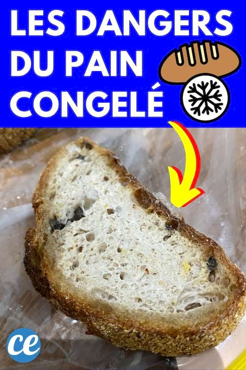 Un morceau de pain congelé 