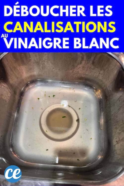 Canalisation bouchée 