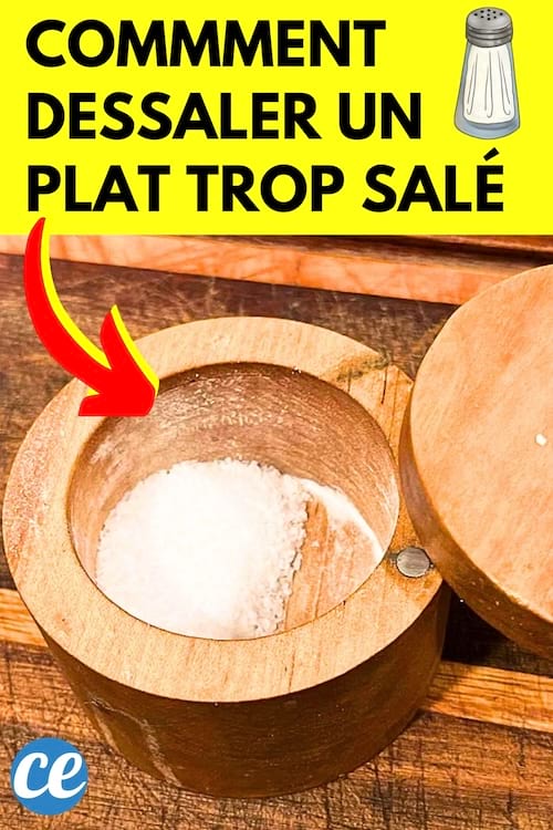 Une coupelle avec plein de sel qui a été mis dans un plat trop salé