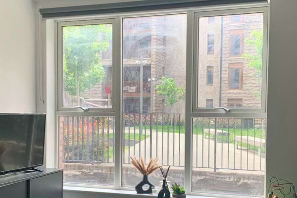 Vue d'une fenêtre sur une rue urbaine bordée d'arbres.