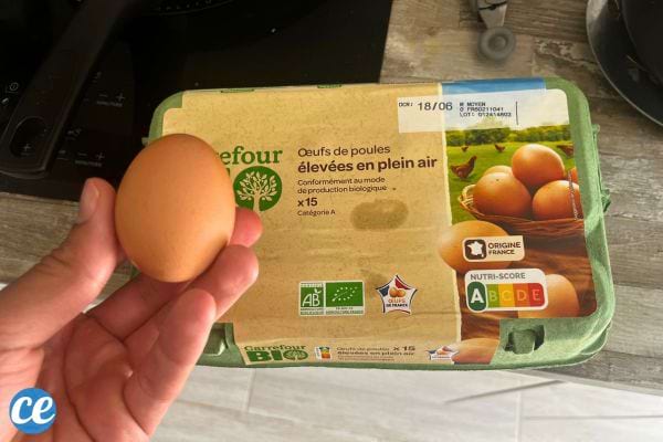 Main tenant un œuf devant un paquet de quinze œufs Carrefour Bio sur une table.