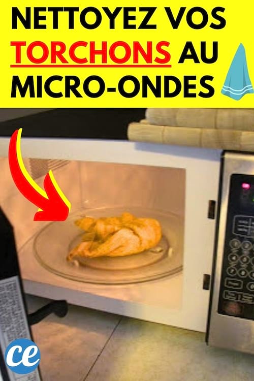 un torchon qui est mis au micro-ondes pour être nettoyé