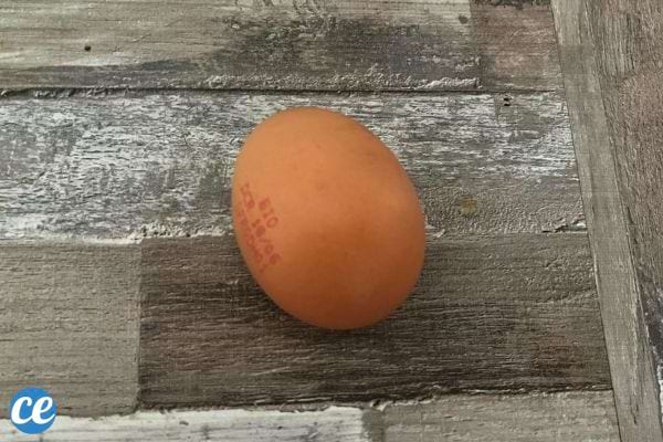 Œuf posé sur un fond en bois usé, avec texte marqué.
